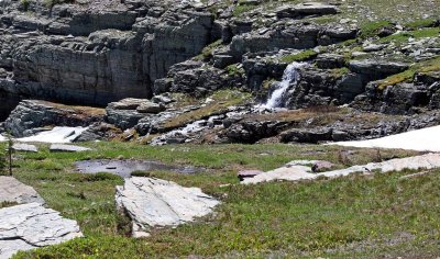 Logan Pass