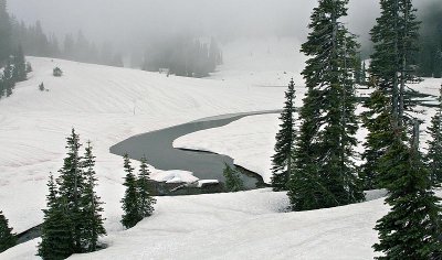  Chinook Pass 