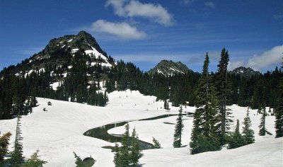  Chinook Pass 