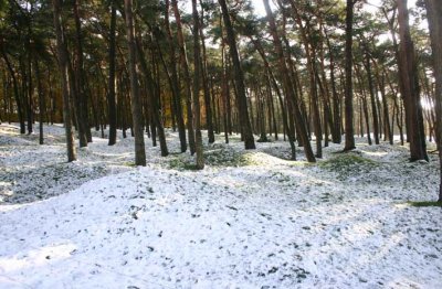 Vimy Snow.jpg
