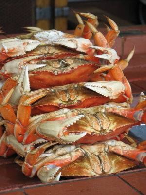 HM-crab.jpg
