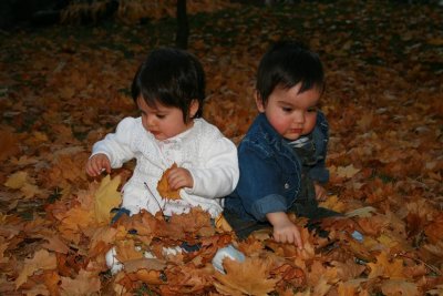Twins on our front lawn, experimenting with the sounds the leaves make