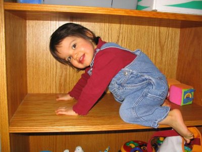 Just how high up on the bookshelf can she climb?