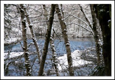 Frosty River