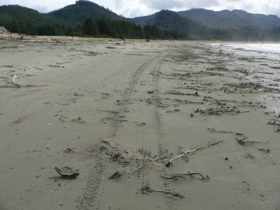 Hobuck beach combers ATV tracks