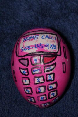 Cell phone egg