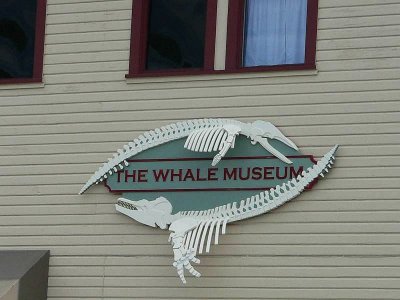 FRONT of WHALE MUSEUM