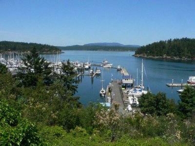 FRIDAY HARBOR EVENING
