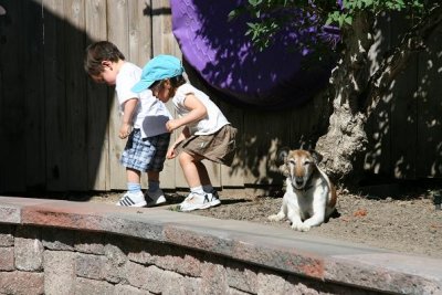 Exploring the ramp into the yard