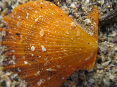IMG_3773.jpg