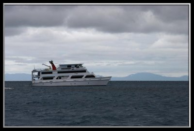 The Reef Encounter - Our home for 3 days