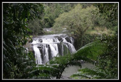 Wallicher Falls Johnstone River