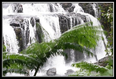 Wallicher Falls Johnstone River