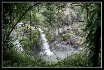 Tschupala Falls North Johnstone River