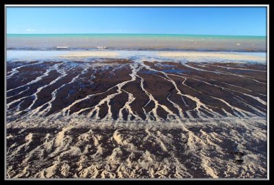 Wonga Beach at low tide