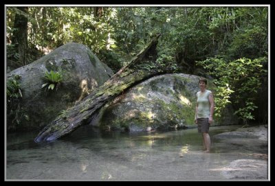 Mossman Gorge Jungle Hike