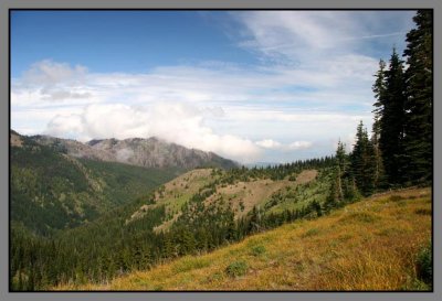 Hurricane Ridge Vista towards Ocean