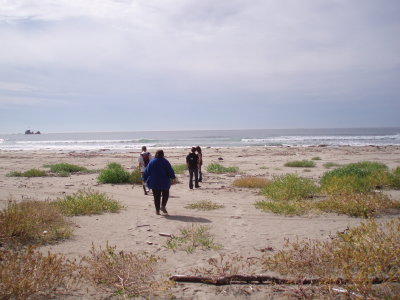 Soos Beach.JPG