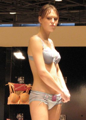 Lingerie2006 005a.JPG