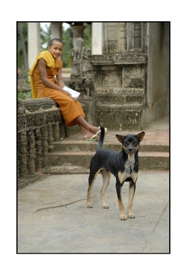 the dog and the monk