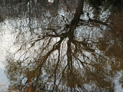 Upside down