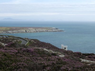 Ellins Tower, South Stack