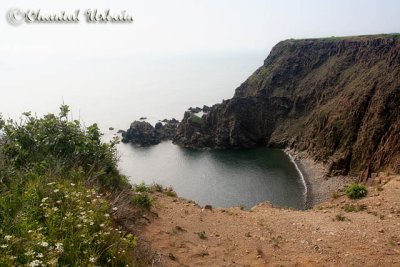 20070704_1839 Grand Manan - Southwest head.jpg