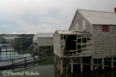 20070704_1796 Grand Manan - Seal Cove.jpg