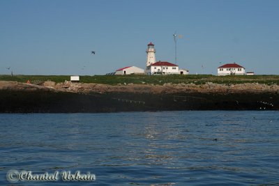 20070704_1776 Machias Seal Island - Lighthouse.jpg