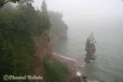 20070705_2242 St-Martins - Fundy trail.jpg