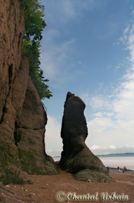 20070706_2603 Hopewell Rocks.jpg