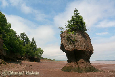 20070706_2645 Hopewell Rocks.jpg