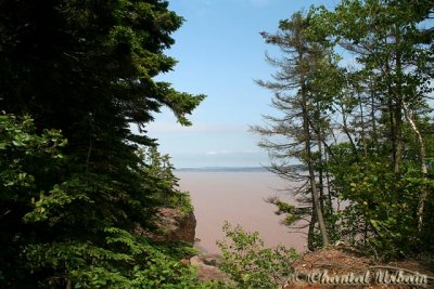 20070706_2666 Hopewell Rocks.jpg