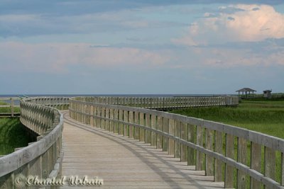 20070707_2734 Bouctouche.jpg