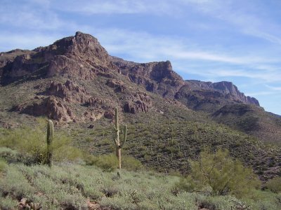 Arizona 2007