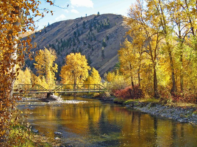  Old Bridge Over River