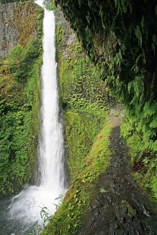  Tunnel Falls Along  Eagle Creek Trail In Oregon