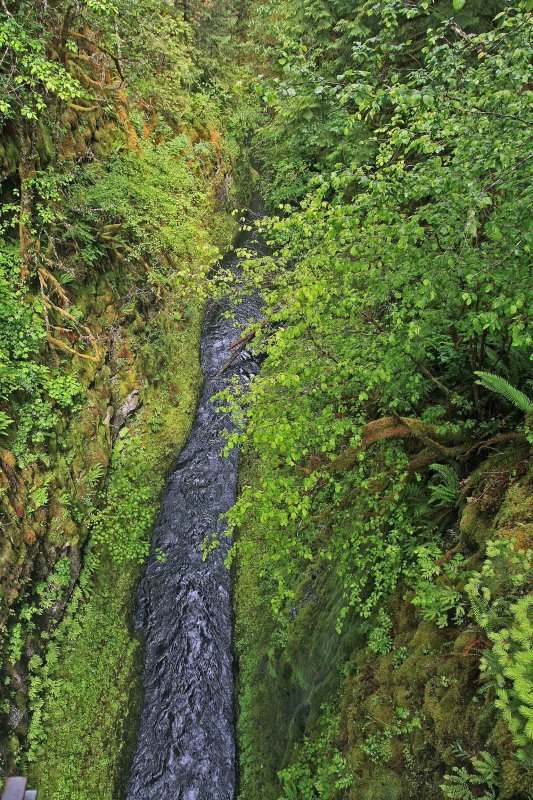  View Of  Slot Canyon Off  4 Mile Bridge