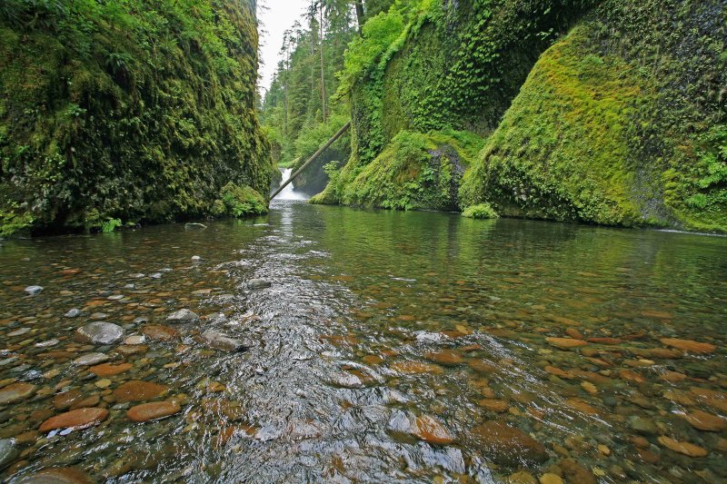 Wading Eagle Creek To Get  Punch Bowl Shot