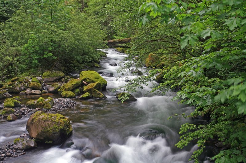 Eagle Creek Near Three Mile Bridge