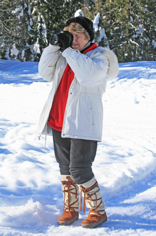   Cricket And Her Canon 20D Shooting Sled Dog Races In Trinity