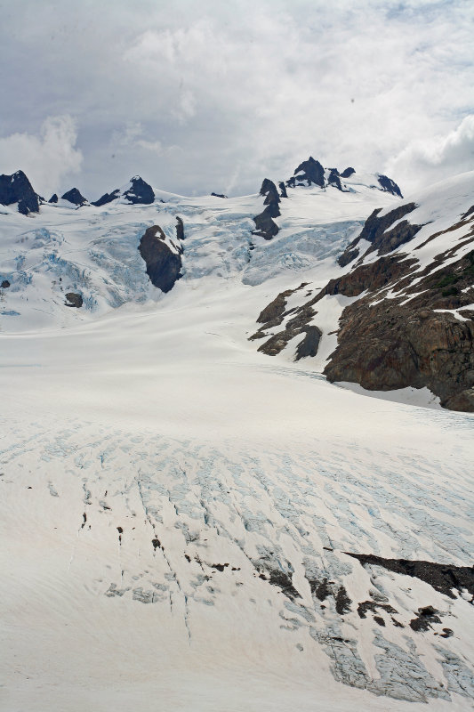 View Of Blue Glacier And Mt. Olympus