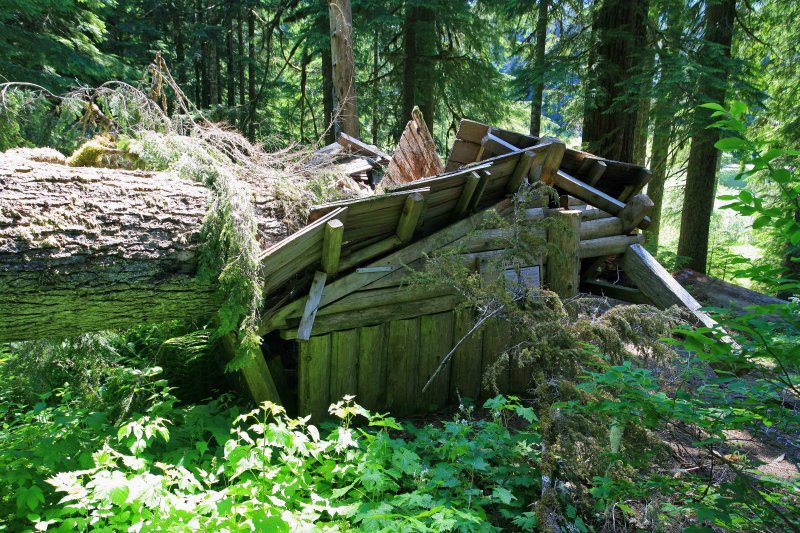   Direct Hit !  On 1930s Elk Lake Shelter