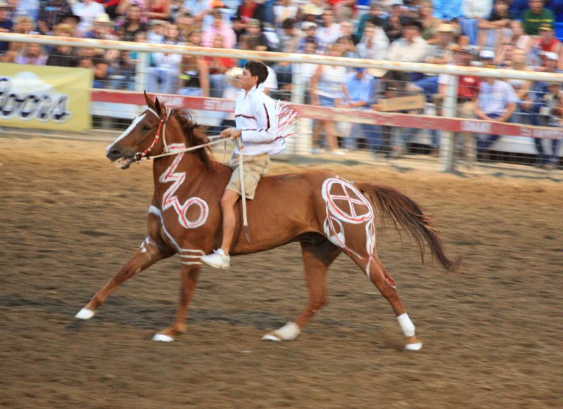 Two Time Suicide Race Winner And His Horse In Native Paint