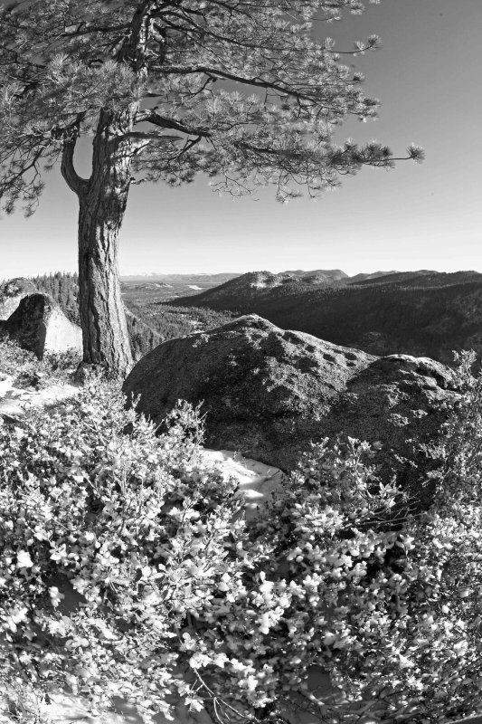 View From Echo Summit Looking Toward Lake Tahoe