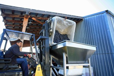 Dumping The Bin Into Juicer