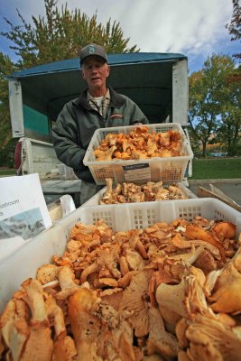 Jay Ballen Shows His  Chantralle Mushrooms At Market