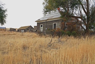  One Of The Few Remaining Houses Of Govan