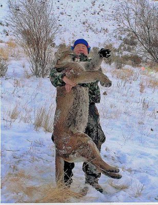 Learn How To Wrestle A Cougar In 12 Easy Steps!