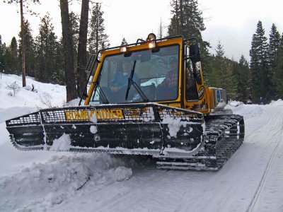  Cat Plowing Road Near Clockum Ridge